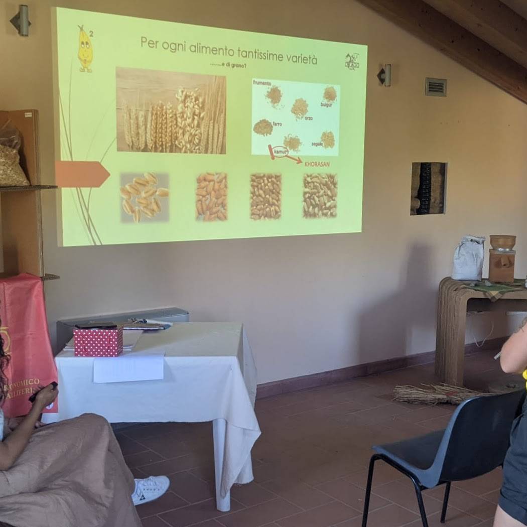 Drago Archeofest comunità patrimoniale