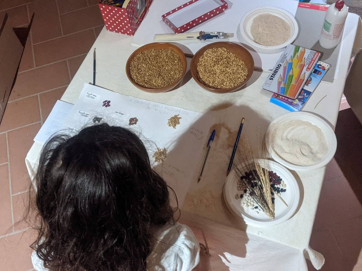 Drago Archeofest comunità patrimoniale didattica biodiversità