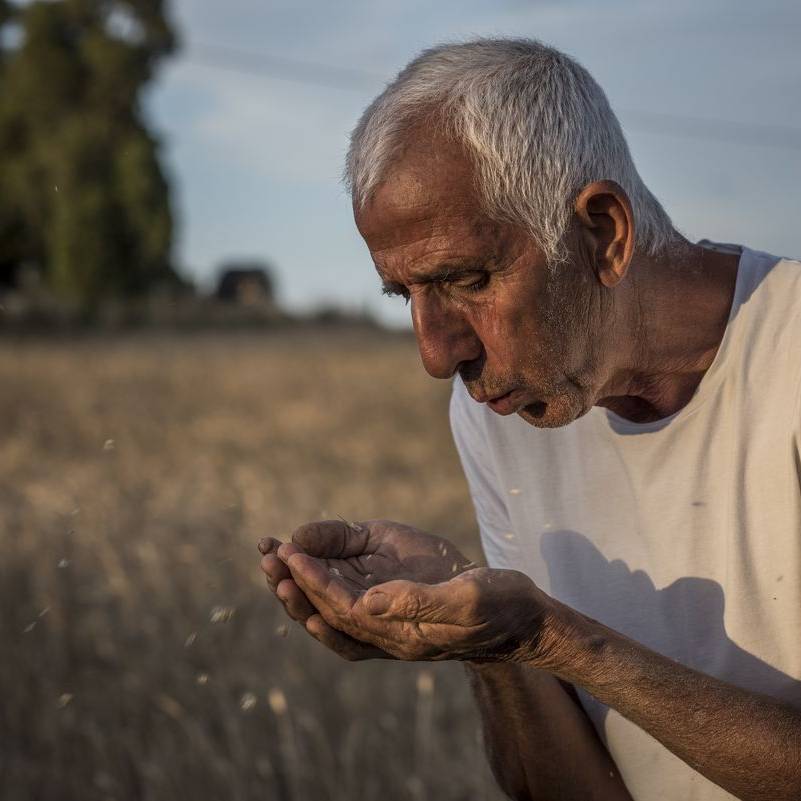 Sequerciani campi e tradizioni
